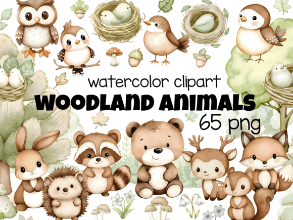 Download 65 PNG Woodland Animals Watercolor - Animals Collection